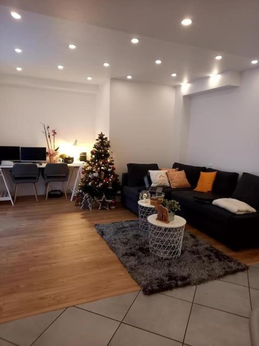 Superbe Appartement Moderne En Rez-De-Chaussee Ozoir-la-Ferrière Exterior foto